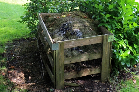 compost heap 