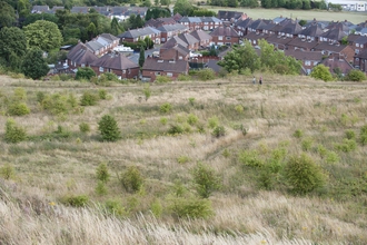 Housing next to a grassland area