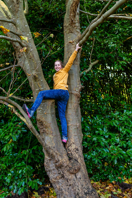 A girl of about 12/13 climbs a tree looking happy, she has blonde hair and wears jeans and a mustard yellow top. 