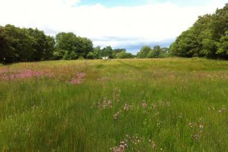 Allimore Green - Nature Reserve