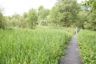 Jackson's Coppice Nature Reserve