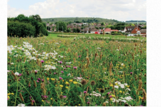 Green public space