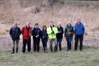 Group of hedge planters outdoors