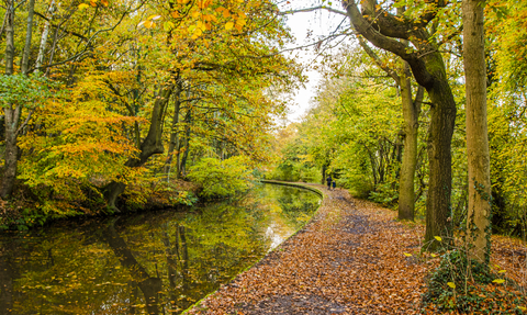Autumnal colours along the Trent and Mersey Canal near Hopwas, November 2020 © Steven Cheshire, Transforming the Trent Valley 2020