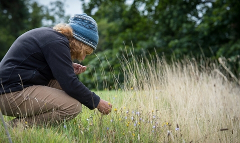 A woman crouches in a meadow and inspects something in her hand. There are trees behind her. She wears beige casual trousers and a dark top, plus a woollen hat.