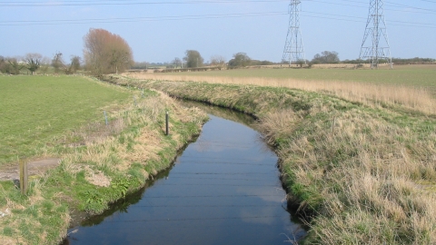 SWT South Staffs Group: A walk around Smestow Valley Nature Reserve ...