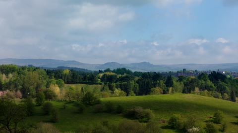 View of green rolling hills with various trees and blue sky with clouds