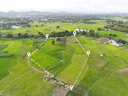 A patchwork of agricultural fields with some trees and buildings in the distance. A white dashed line indicates an outline around a plot/area.