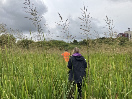 A woman and man make their way through tall grass on a marsh.