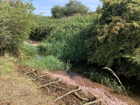 A bank along a river featuring a berm, a series of cut brush woven together. The other side of the river is covered in vegetation.