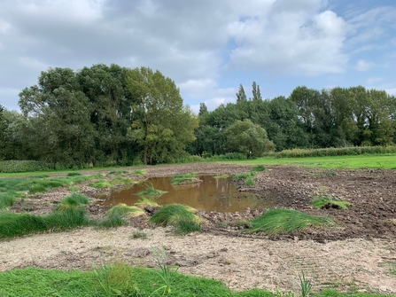 A newly dug pond begins to fill with water.