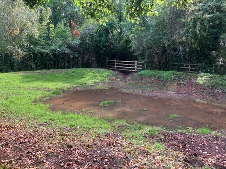 the edges surrounding a shallow pond are vibrant green with new vegetation.