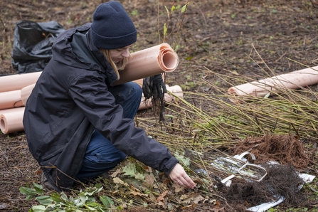 A woman in a dark coat and wooly hat crouches over a selection of tree saplings. She selects one while holding a tree guard tube in her other hand,