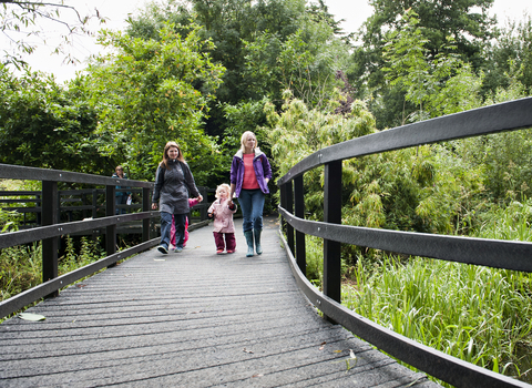 The boardwalk at Wolseley 