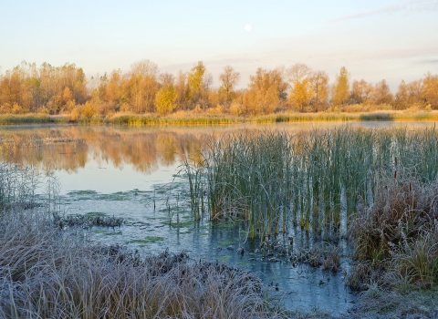 Floodplain