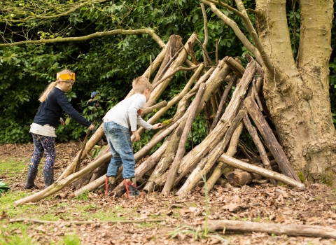 Den building