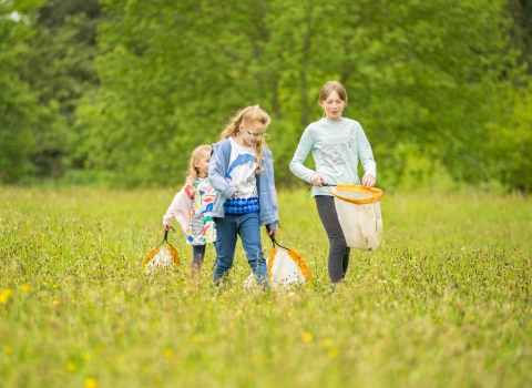 After School Clubs