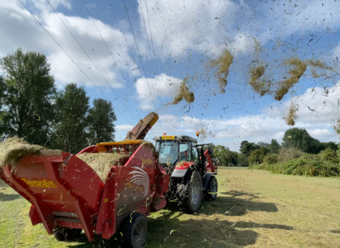 Grassland restoration 