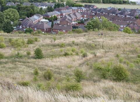 Housing next to a grassland area