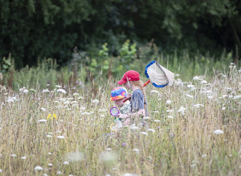 Two children in brightly coloured caps carry a large net as they hunt bugs in a meadow full of long grass