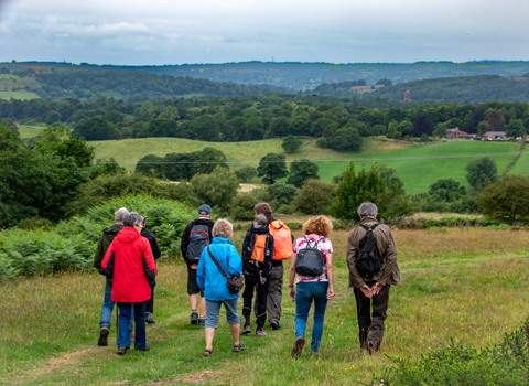 A group of people walk in a rural green area with woodland in the distance