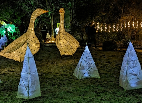 Two large goose lit up with other lit up paper sculptures at night