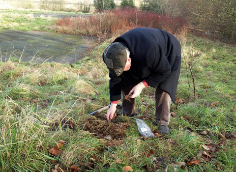 A man bends down and plants something in the ground in a green open area with trees in the background