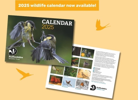 An orange background with text that reads 2025 wildlife calendar now available! With images showing a calendar including the front cover where two birds fight in mid air