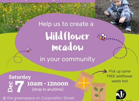 10am to noon Saturday December 7, Wildflower Seed Sowing